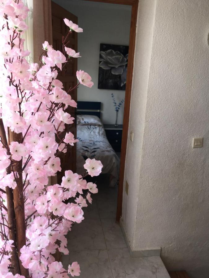 La Mariña Casa Phoenix Bed & Breakfast B&B 외부 사진